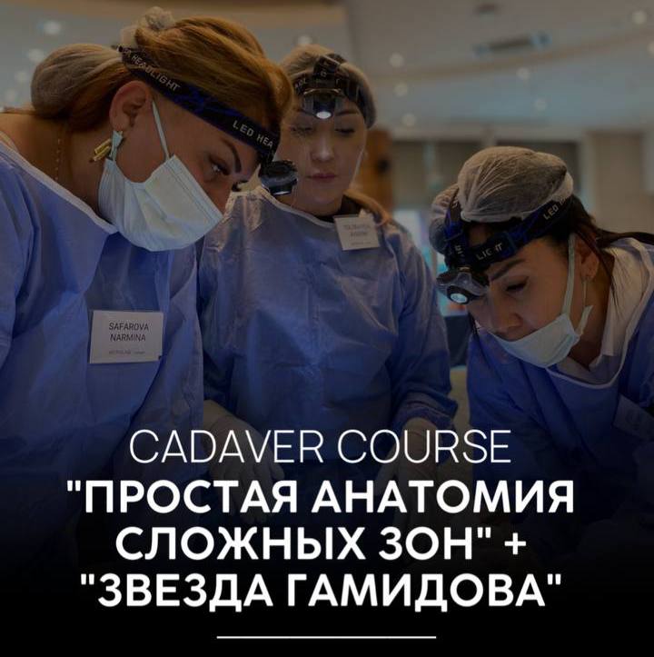 Cadaver course Простая анатомия сложных зон