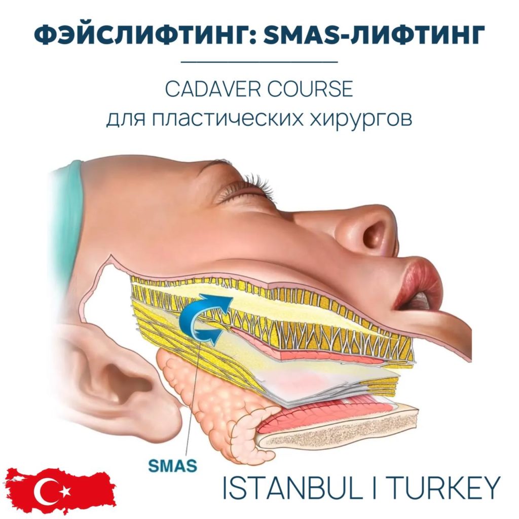 КОМБИНИРОВАННАЯ ПОДТЯЖКА ЛИЦА ФЭЙСЛИФТИНГ CADAVER COURSE БАЗОВЫЙ УРОВЕНЬ